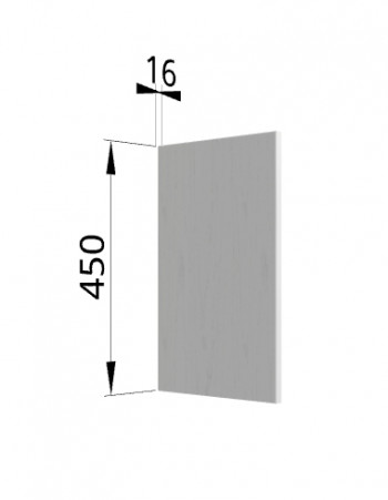 Панель торцевая (для шкафа горизонтального высокого) ВПГ Ройс (Графит софт) в Удачном - udachnyj.mebel54.com | фото